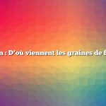 Question : D’où viennent les graines de fenouil ?
